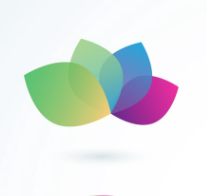 Хамтрагч байгууллагын нэр